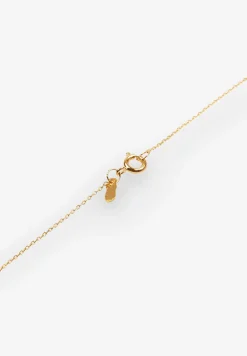 Alhaja Cult Store | Collar Preciosa-Scalpers Hot