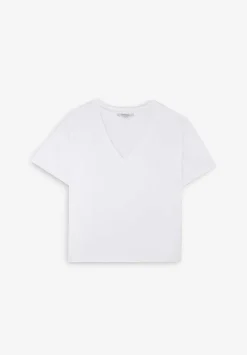 Camiseta Premium Basica-Scalpers Sale