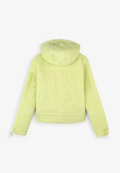 Chaqueta Acolchada Capucha-Scalpers Clearance