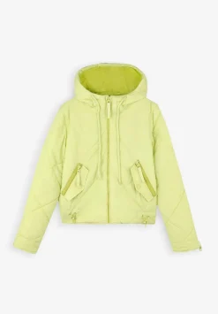Chaqueta Acolchada Capucha-Scalpers Clearance