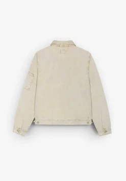 Dickies | Chaqueta Newington-Scalpers Online