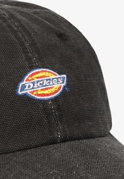 Dickies | Gorra Hardwick-Scalpers Hot