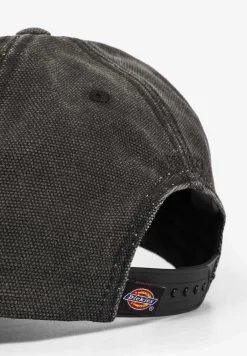 Dickies | Gorra Hardwick-Scalpers Hot