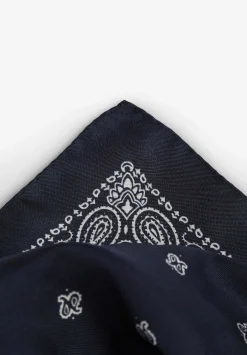 Panuelo Seda Estampado Paisley-Scalpers New