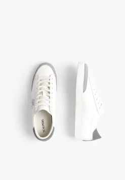 Sneakera Bajas Calavera Lateral-Scalpers Best