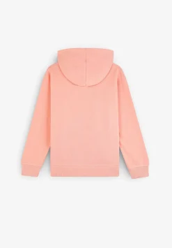 Sudadera Capucha Print Delantero-Scalpers Best